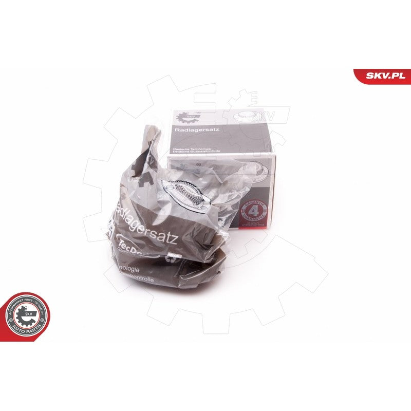 Kit rulment roata ESEN SKV 29SKV073