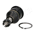 Pivot Ashika 73-04-499