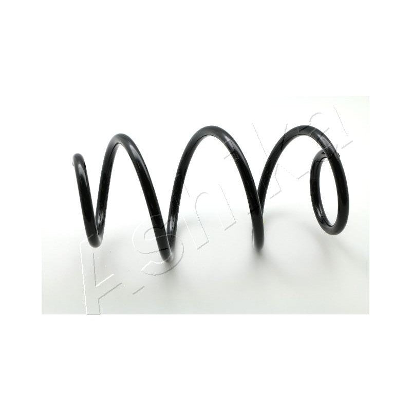 Arc suspensie Ashika ZCA4119A