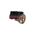 Pompa servodirectie KAMOKA PP058