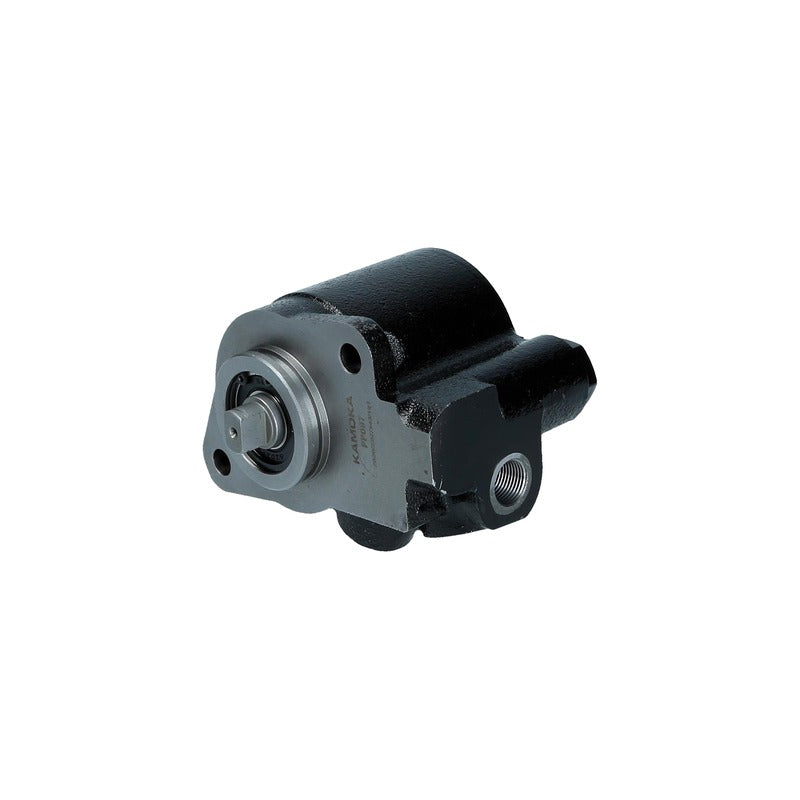 Pompa servodirectie KAMOKA PP087