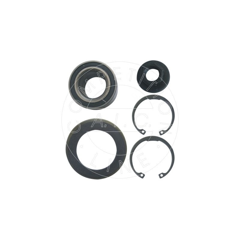 Kit rulment roata AIC 53564