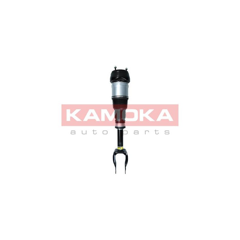 Amortizor pneumatic KAMOKA 2070001