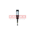 Amortizor pneumatic KAMOKA 2070008
