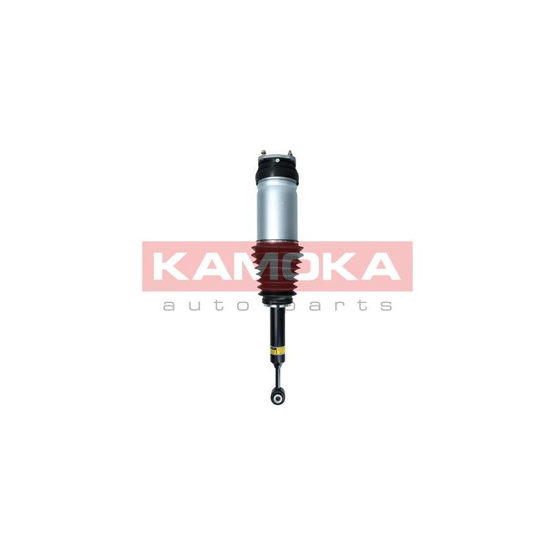 Amortizor pneumatic KAMOKA 2070008