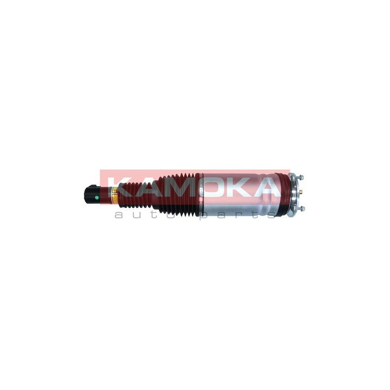 Amortizor pneumatic KAMOKA 2070011
