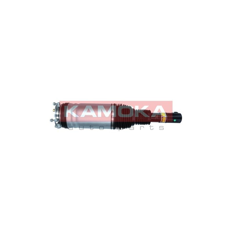 Amortizor pneumatic KAMOKA 2070012