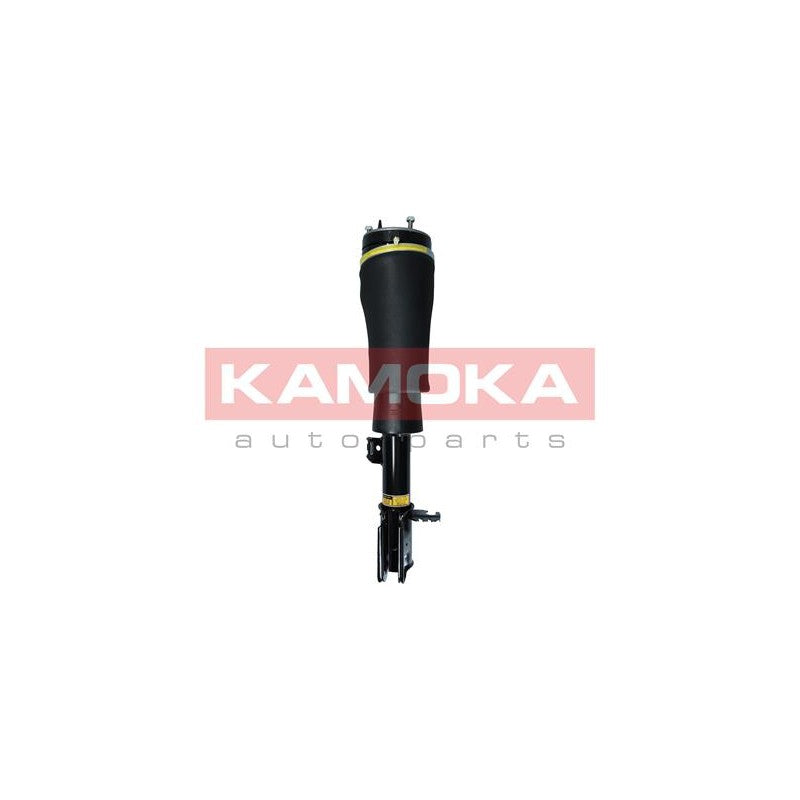 Amortizor pneumatic KAMOKA 2070020