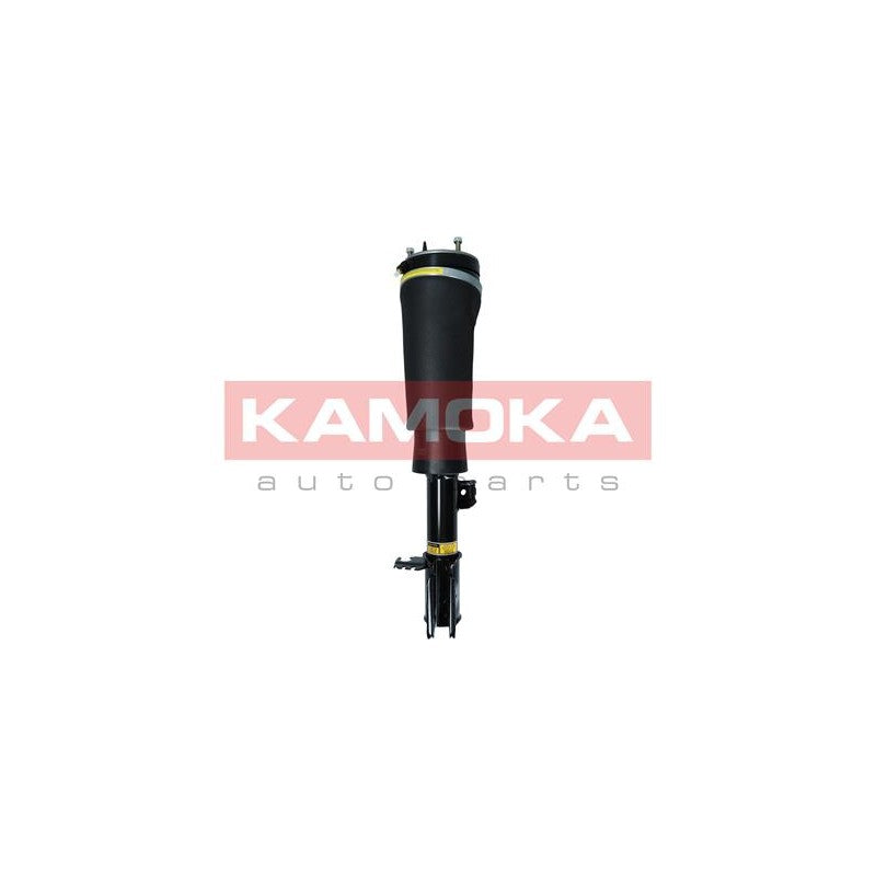 Amortizor pneumatic KAMOKA 2070021