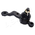 Pivot Ashika 73-02-256R