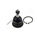 Pivot Ashika 73-09-904