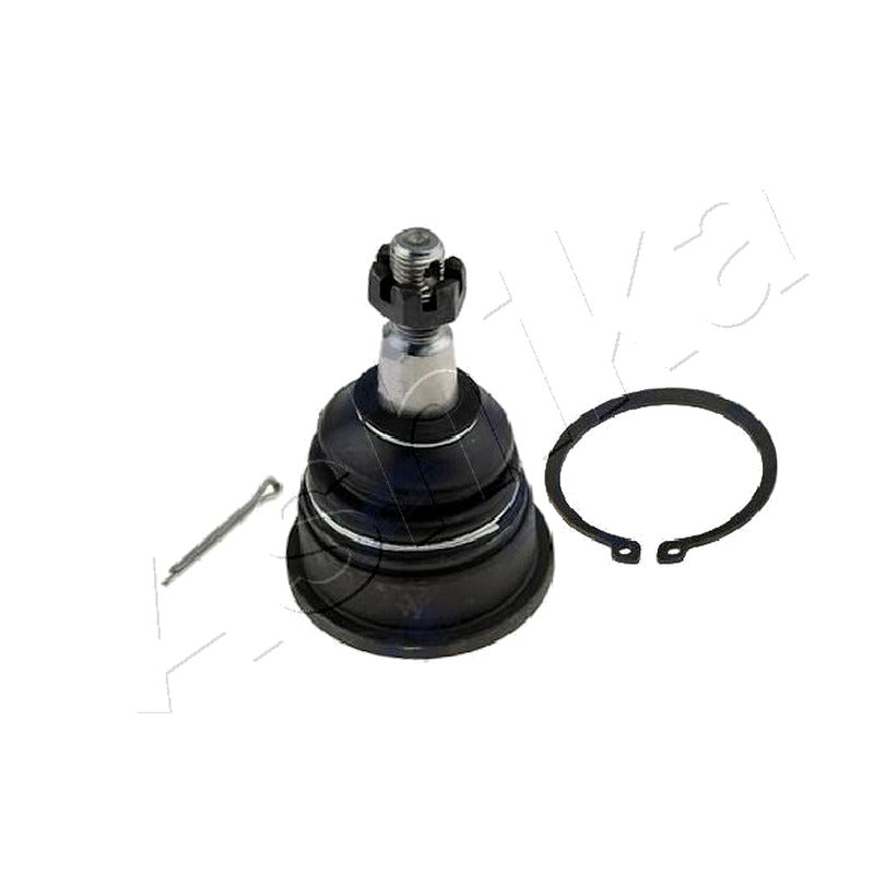 Pivot Ashika 73-09-904