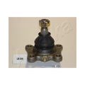 Pivot Ashika 53-02-295