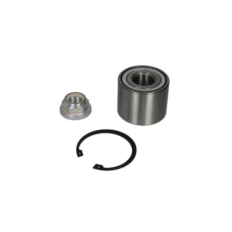 Kit rulment roata MTR 12220642