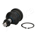Pivot Ashika 73-02-215