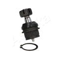 Pivot Ashika 73-09-902