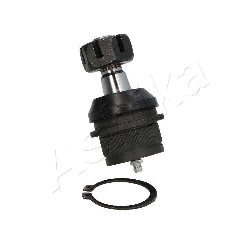 Pivot Ashika 73-09-902