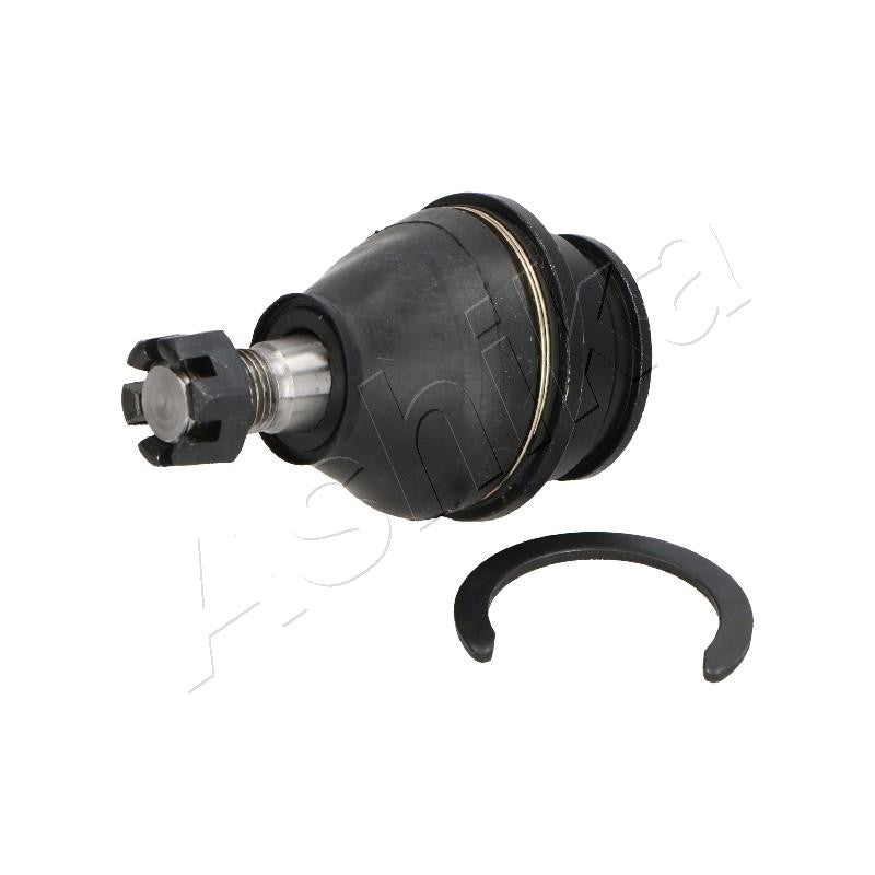 Pivot Ashika 73-02-247