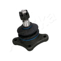 Pivot Ashika 73-03-313