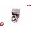 Kit rulment roata ESEN SKV 29SKV149