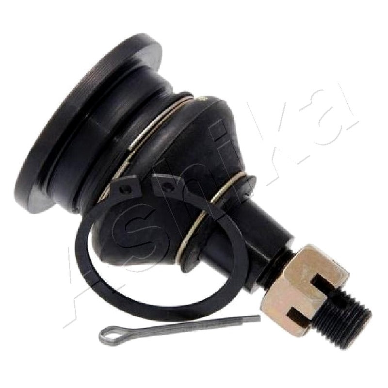 Pivot Ashika 73-04-423