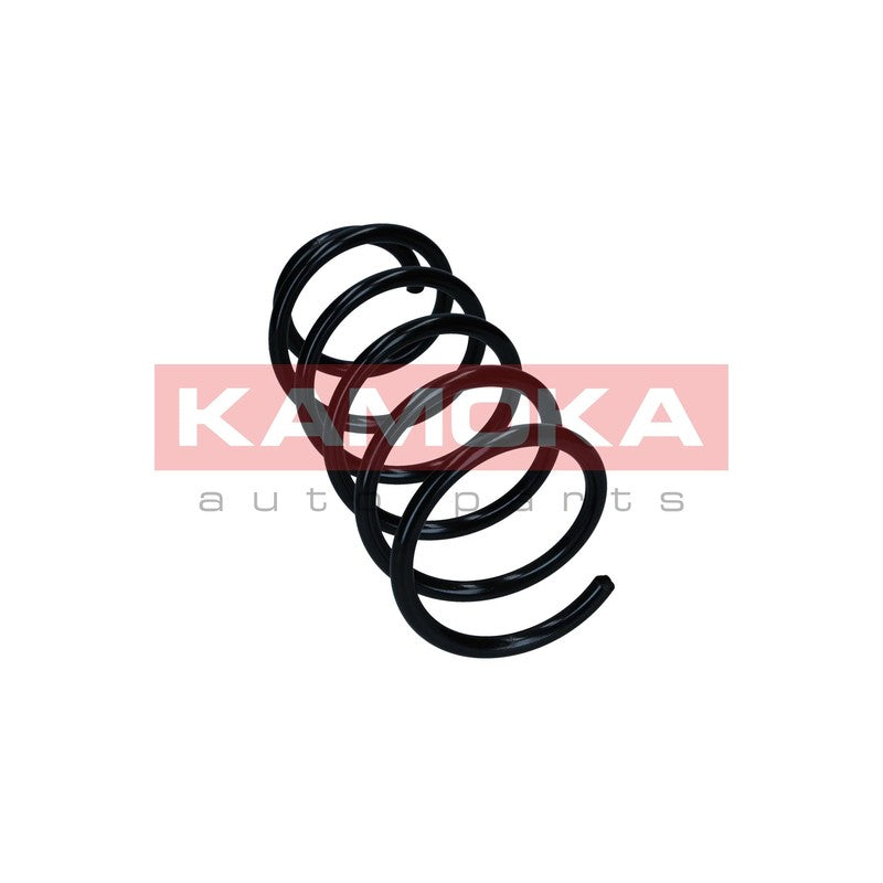 Arc suspensie KAMOKA 2110433