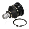 Pivot Ashika 73-08-800