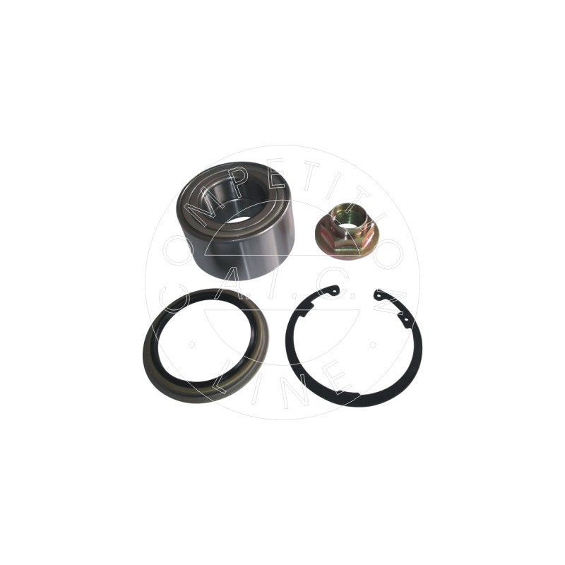 Kit rulment roata AIC 55858