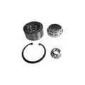 Kit rulment roata AIC 55862