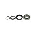 Kit rulment roata MTR 12191843
