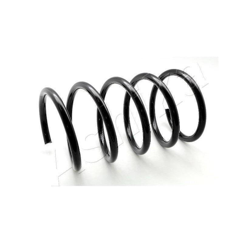 Arc suspensie Ashika ZCA2843A
