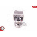 Kit rulment roata ESEN SKV 29SKV018