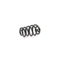 Arc elicoidal MTR 12108684