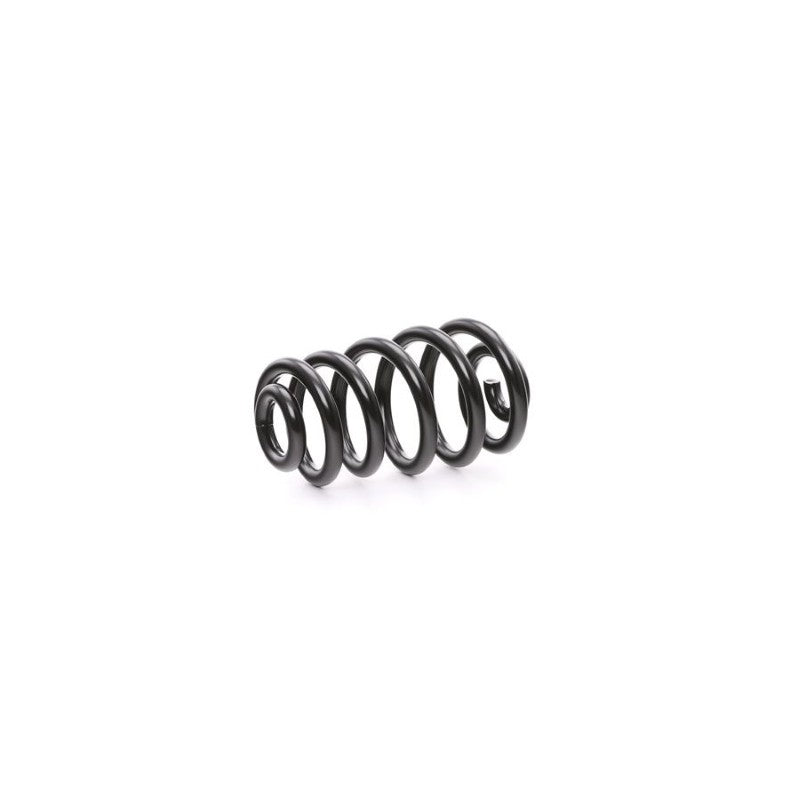 Arc elicoidal MTR 12108684