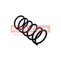 Arc suspensie KAMOKA 2110585
