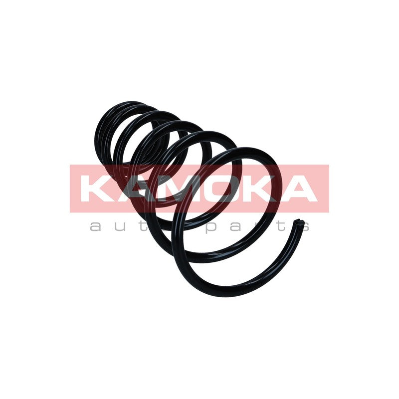 Arc suspensie KAMOKA 2120464