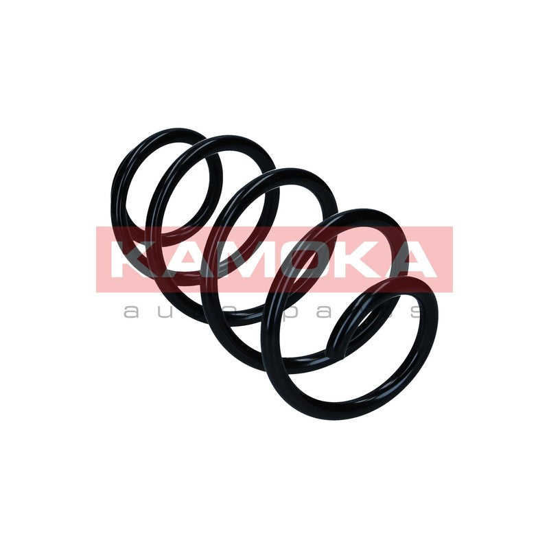 Arc suspensie KAMOKA 2110751