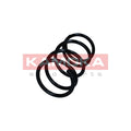 Arc suspensie KAMOKA 2110499
