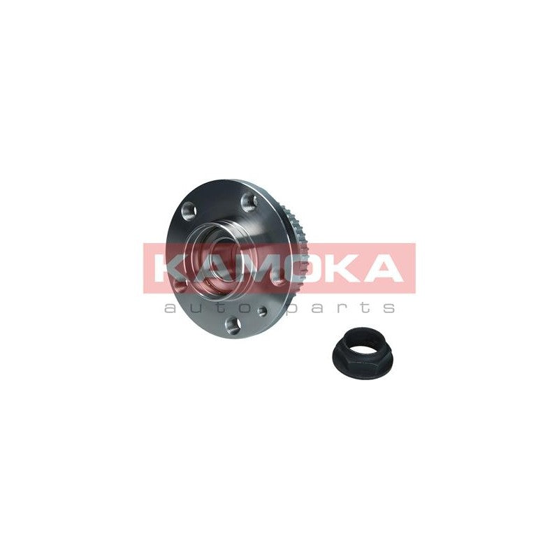 Kit rulment roata KAMOKA 5500214