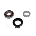 Kit rulment roata Ashika 44-29022