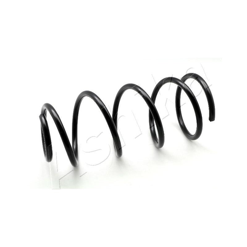 Arc suspensie Ashika ZCA3461C