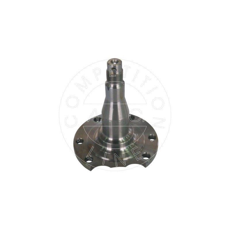 Stub Axle, axle beam AIC 51579