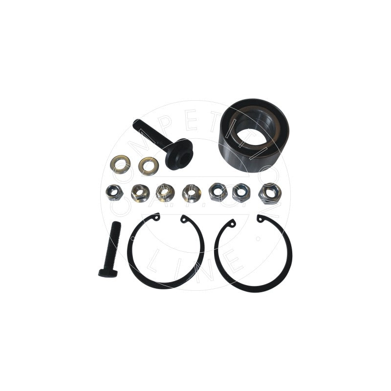 Kit rulment roata AIC 54821