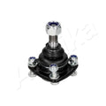 Pivot Ashika 73-00-018