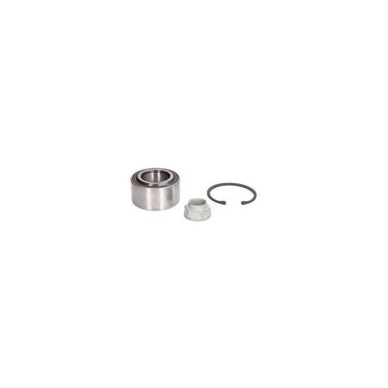 Kit rulment roata MTR 12138146