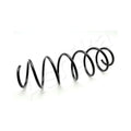Arc suspensie Ashika ZCA3558A