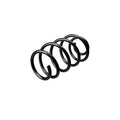 Arc elicoidal MTR 12108691