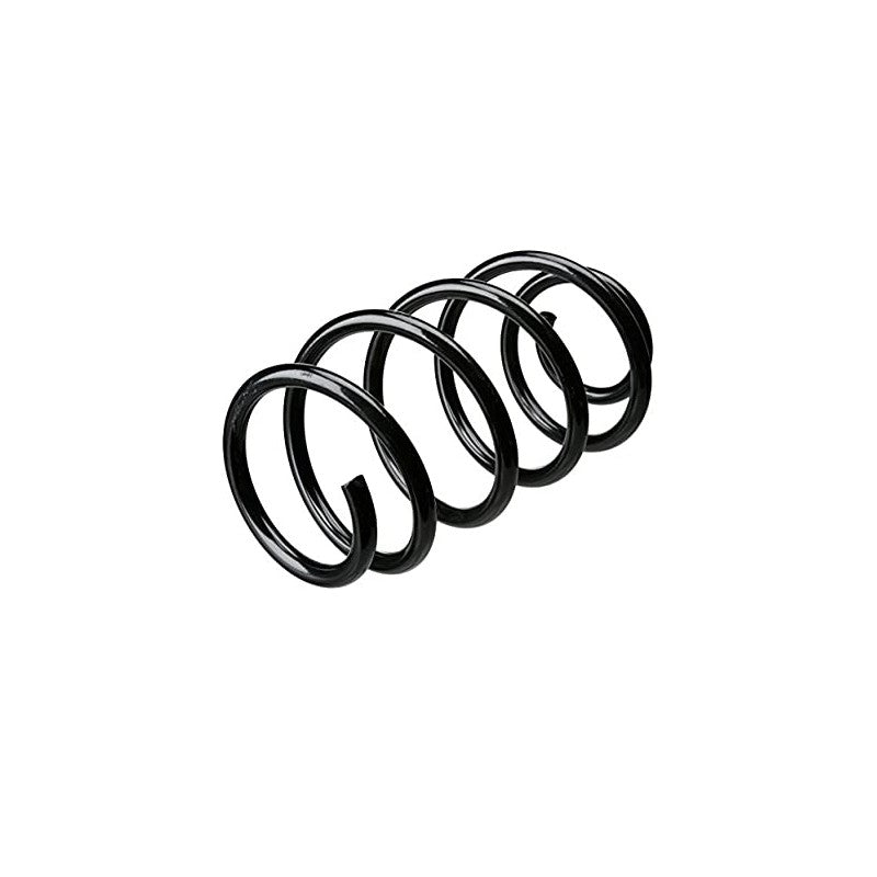 Arc elicoidal MTR 12108691
