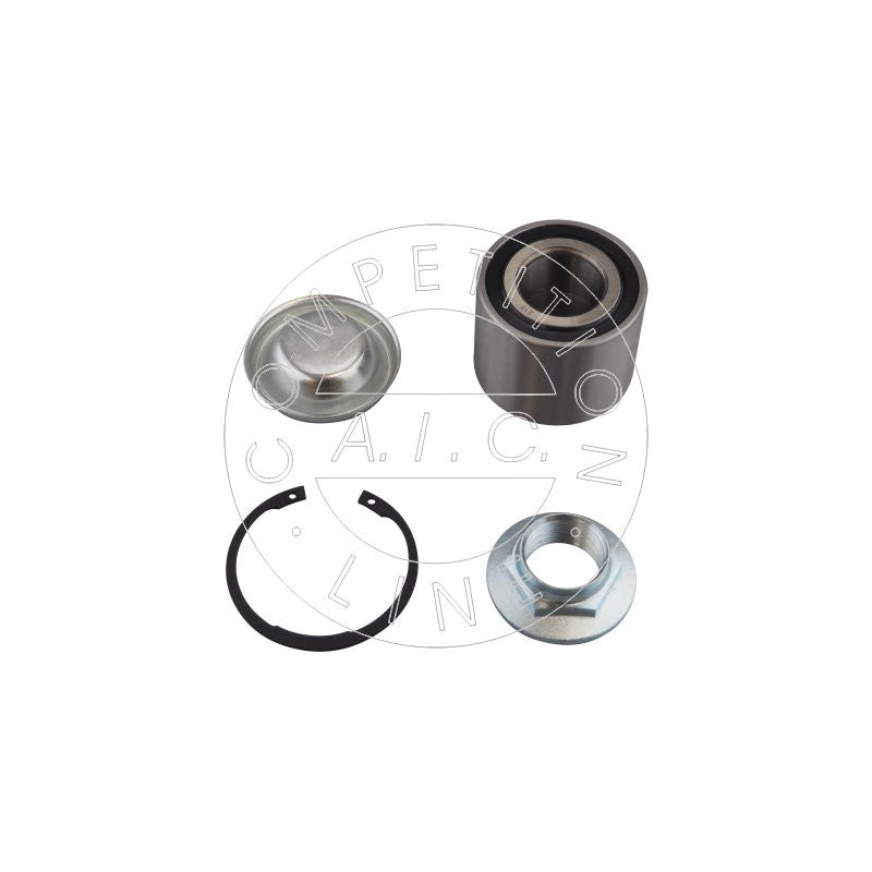 Kit rulment roata AIC 59581