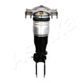 Amortizor pneumatic Ashika MA-AS012
